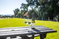Luxury Accomodation on  26Rows Vineyard.
