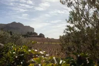 A 10 mn walk from the beach with view on the cap canaille house of 100 m2