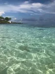 Vitamin Sea - Beachfront and ground floor at Coral Bay
