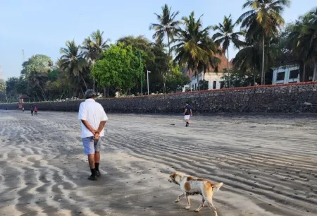 Stylish apartment on Goa's most happening stretch, bang on the Chapora River,