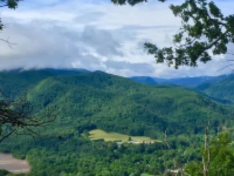 Broadwing Farm Cabins -Pine Cabin- Hot Tub with Mineral Water