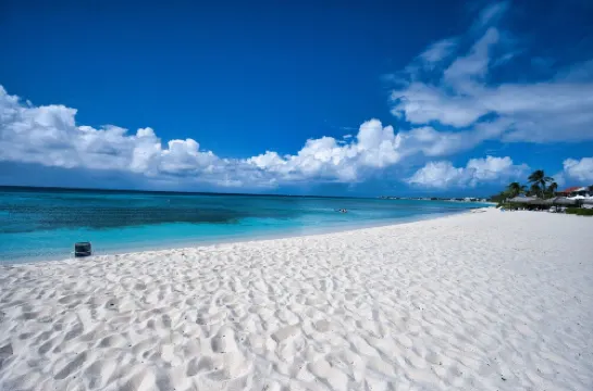 Beach Bliss by 7M Beach