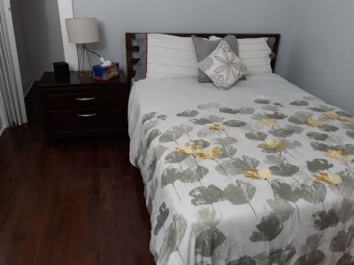 Paradise Home - Jamrock