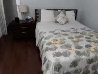 Paradise Home - Jamrock