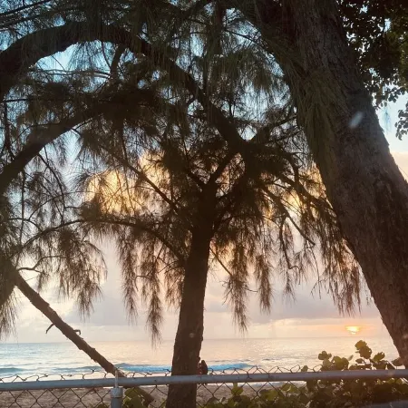 Cozy Corner - Vacation Rental in Beautiful Barbados