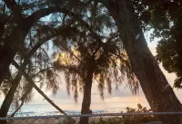 Cozy Corner - Vacation Rental in Beautiful Barbados