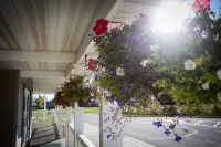 Chisholm Inn & Suites Hotels in Hibbing