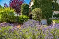 Logis Hôtel Parc Adelie Hotels in Montagny-les-Beaune