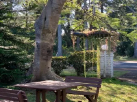 Montville Holiday Apartments Hotels in Montville