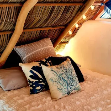 El Sho - Hotel orgánico