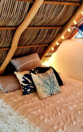 El Sho - Hotel orgánico