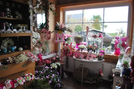 Crea-Trends Vacations Отели в г. Sluis