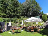 Landgasthof Grüner Baum Hotels in Hof