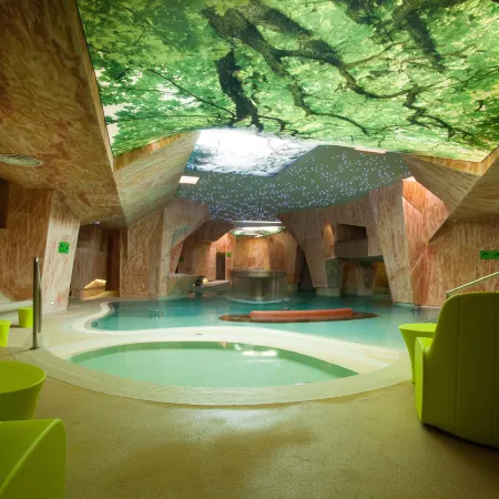 Viiking Spa Hotel
