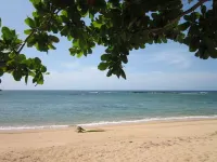Villa Paraiso Luxurious Beach Front 5BR/6BA Villa @ Dorado Beach Ritz Reserve Hotels in Dorado