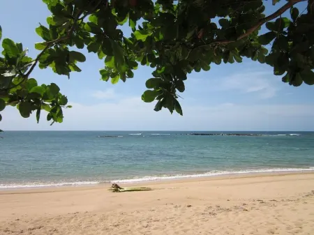 Villa Paraiso Luxurious Beach Front 5BR/6BA Villa @ Dorado Beach Ritz Reserve