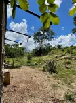 Hostal Homún Oro Verde فنادق في Acanceh