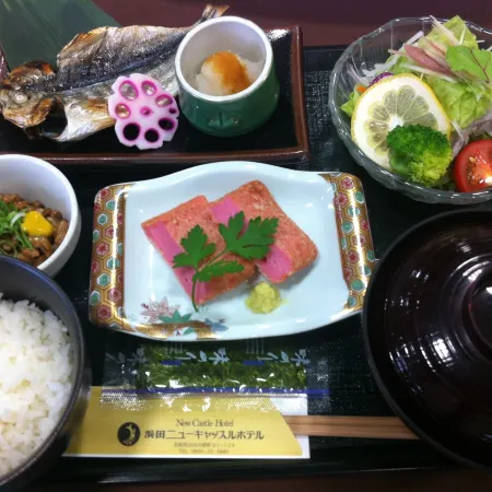 Hamada New Castle Hotel