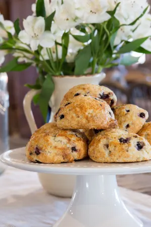 Mountain Meadows Lodge Отели рядом с достопримечательностью «Пико Маунтин Ски Резорт»