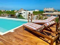 선스텝스 카사 홀복스