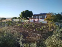 Quinta Sofia Valle de Guadalupe - Villas