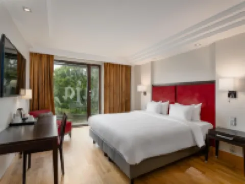 麗笙藍標伊麗莎白酒店 里加酒店