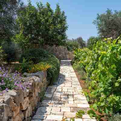 Belmont Trulli – A Sanctuary of Timeless Luxury Hotel Exterior