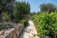 Belmont Trulli – A Sanctuary of Timeless Luxury Hotels in Carovigno