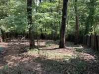 Cozy vacation home just 20 minutes from Six Flags St. Louis Hotels in Meramec Township