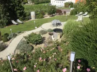 Weingut Pension Bastian Hotels in Leiwen