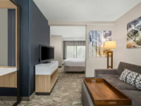 SpringHill Suites Minneapolis Eden Prairie Hotels in Eden Prairie