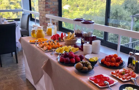 三星級酒店拉瓦萊德斯巴比斯