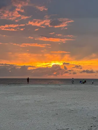 Shark Tooth Getaway Отели в г. Венис