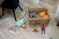 Tranquil Mountain Retreat in Santa Cruz