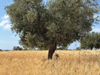 Penthouse with Rooftop & Mountain View - Between Sea, Nature & Relaxation