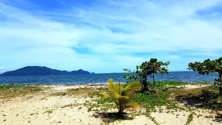 Le Tournesol Belle Villa