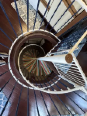 Sleep in a Treehouse!! Hotels in Lake Ariel