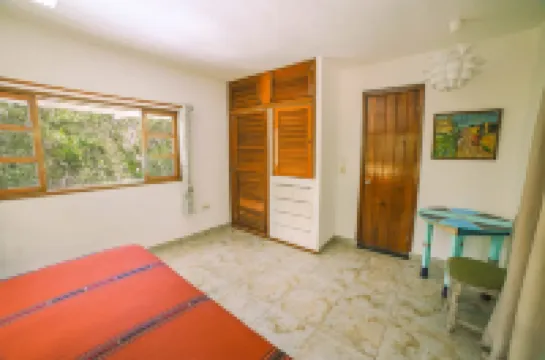 Fantastic Suite 2 bedrooms at the Mayan Jungle, Xaman