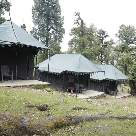 The Little Pahadi