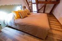 GÎTE "LA GRANGE DE MADELEINE", HISTORIC CENTER OF EGUISHEIM