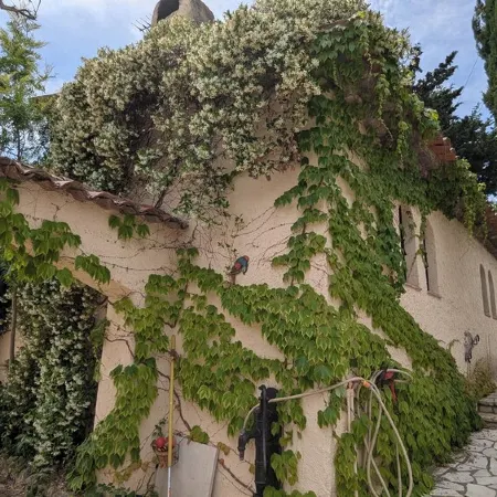 Provencal villa for 10 people with swimming pool and garden in Grasse