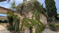 Provencal villa for 10 people with swimming pool and garden in Grasse