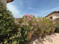 Appartement Port Cogolin Avec Terrasse 90 M2