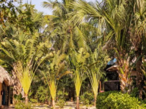 Casa Lu Hotel Boutique Hotels in Santa Maria Tonameca