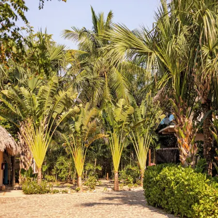 Casa Lu Hotel Boutique