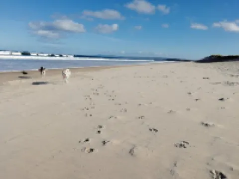 Experience the timeless beauty of Kirkton House – A Historic Highland Retreat