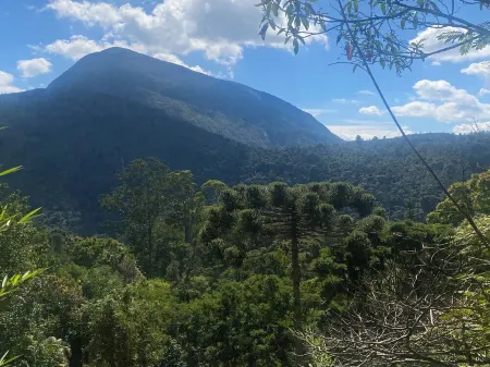 Guest House Teresópolis em área de proteção e birdwatching Отели в г. Терезополис