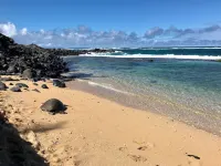 Locally-owned, eco-friendly condo on Road to Hāna. 2-min walk to beach & seafood