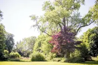 Description Hôtels à : Behren-Lubchin