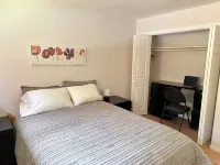 Newly renovated 3BD 2 Bath, Spacious with lots of light!